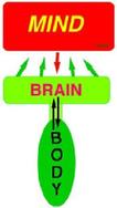 Mind, Brain and Body