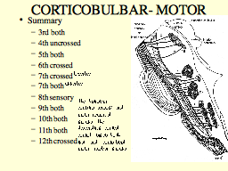CORTICOBULBAR- MOTOR
