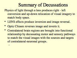 Summary of Decussations