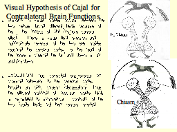 Visual Hypothesis of Cajal for Contralateral Brain Functions