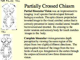 Partially Crossed Chiasm