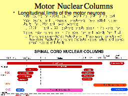  Motor  Nuclear Columns