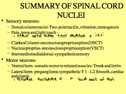 SUMMARY OF SPINAL CORD NUCLEI