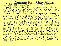 Neurons form Gray Matter